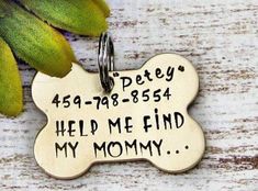 a dog tag that says,'pety help me find my mommy'on it