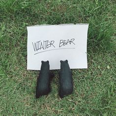 two fake black bears sitting in the grass next to a sign that says water bear