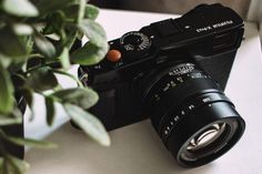 a camera sitting on top of a table next to a potted plant