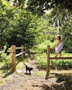 Country life Little Farm Aesthetic, Farm Living Aesthetic, Family Home Farm, Country Living Aesthetic Family, Wooden Fence Countryside Home, Family Farm Aesthetic, Homestead Aesthetic Family, Farm Aesthetic Country Living Family, Summer Rural Landscape With Dog