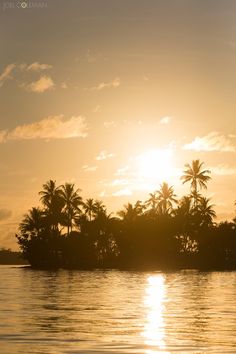 the sun is setting over an island with palm trees
