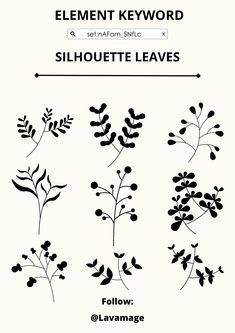 the silhouettes of different plants are shown in black and white