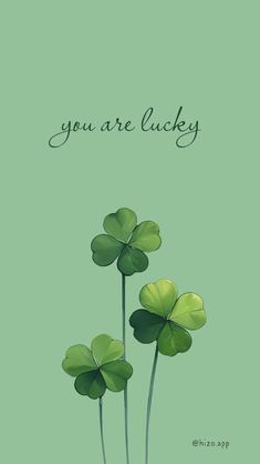 three green clovers with the words you are lucky on them, against a light green background
