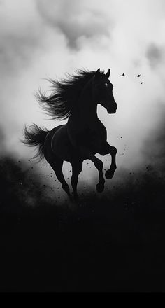 a black and white photo of a horse running in the sky with birds flying around