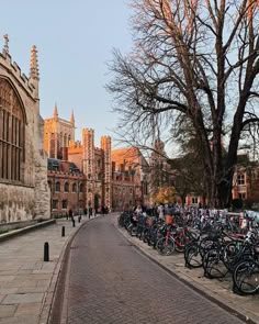 there are many bikes parked on the side of this street