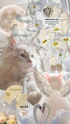 a white cat surrounded by flowers and other items in front of a sky with clouds