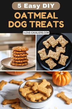5 easy diy oatmeal dog treats that are great for the whole family