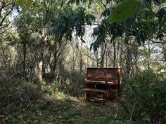 an old piano sitting in the middle of a forest