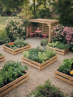 several wooden boxes filled with different types of plants and flowers in the middle of a gravel area