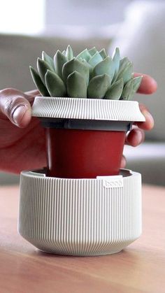 a hand holding a small potted plant on top of a wooden table