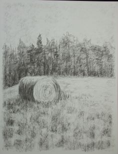 a pencil drawing of hay bales in a field