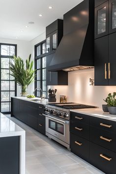a modern kitchen with black cabinets and stainless steel stove top oven, potted plants on the counter