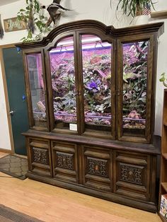 a large wooden cabinet with many plants in it