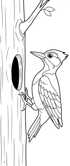 a bird that is sitting on the side of a tree