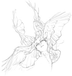a pencil drawing of a woman with wings
