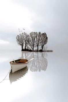 a small boat floating on top of a body of water next to trees in the distance