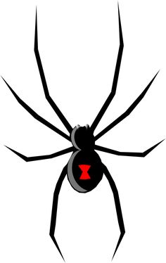 a black widow spider with red eyes and long legs, on a white background illustration