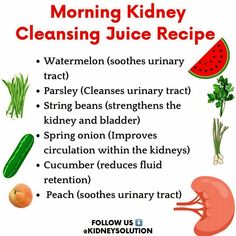 All ingredients play a big role in your kidney health.  Start the Kidney Disease Solution and get back your kidney health….  Ingredients:  • 12 centimetres watermelon (soothes urinary tract) • ½ peach (soothes urinary tract) • ½ cucumber (reduces fluid retention) • ¼ cup parsley (cleanses urinary tract) • 1 spring onion (improves circulation) • 4 string beans (strengthens the kidneys and bladder)  Method: use a juicer to juice each individual ingredient into a single container. Stir and serve.  Drink 2-5 glasses per week. Drink within 24 hours.  Essentially, you can juice any fruit or vegetable you like; imagination is the only limit! I’d love to hear your favourite juice recipe, let us know in the comments.  Restore your kidney functions naturally..  Juicing is only a part of the healing Juice For Kidney Function, Kidney Detox Recipes, Juicing For Kidney Health, Juicing Recipes For Kidney Health, Kidney Function Improve, Juice For Kidney Health, Juice For Kidney Hydration, Kidney Juice Cleanse Recipe, Juice Recipes For Kidney Health