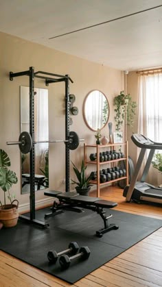 a home gym with exercise equipment and plants in the corner, along with mirrors on the wall