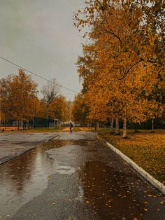 a person walking down a wet street next to trees with yellow leaves on them and an orange umbrella