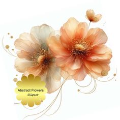 two orange flowers on a white background with the caption abstract flowers collager