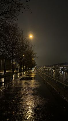 an empty street at night with lights reflecting off the wet pavement and trees in the foreground