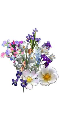 an arrangement of flowers is shown on a white background with blue, pink and purple colors