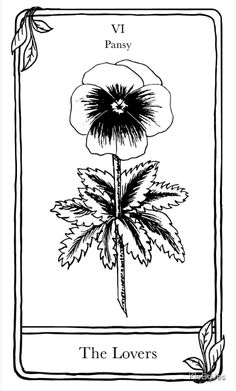 the flower is shown in this black and white drawing, which shows an image of a plant