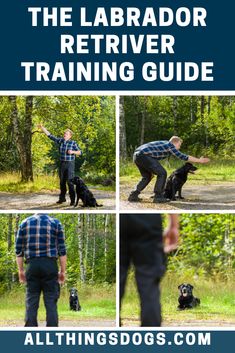 the labrador retriever training guide is shown in four different pictures, including a man and his dog