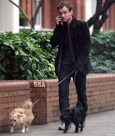 a man is walking his dog and talking on the phone