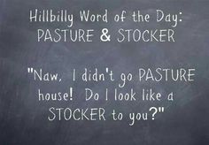a blackboard with writing on it that says hillbilly word of the day pasture & stocker