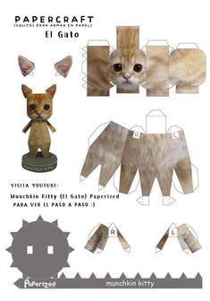 the paper craft kit includes an image of a cat with big eyes and ears, as well as instructions for how to make it