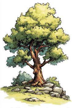 an illustration of a tree with rocks on the ground