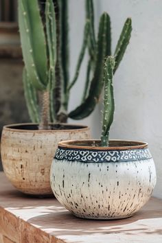 two potted plants sitting next to each other on top of a wooden table in front of a white wall