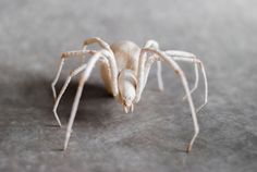 a white spider sitting on top of a gray surface with it's legs spread out