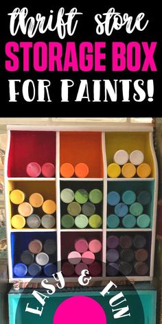 the craft store storage box for paints with text overlay