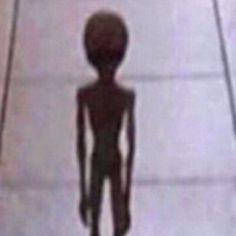 an alien standing on the sidewalk in front of a person with long legs and no head
