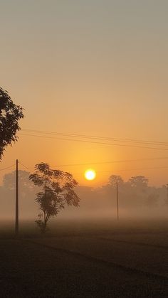 the sun is setting over a field with trees and power lines in the foggy sky