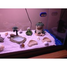 an aquarium filled with lots of different types of rocks and plants on top of sand