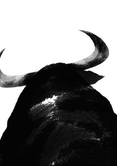 a black and white photo of a bull's head with long horns on it