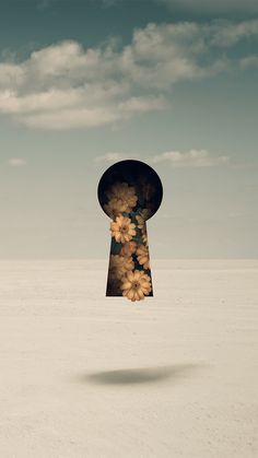 a keyhole in the middle of a desert with flowers on it's side