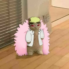 Doflamingo cat