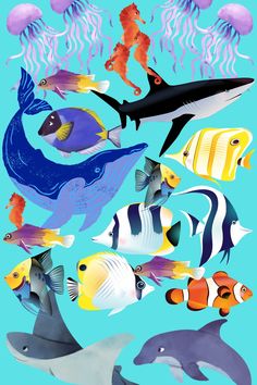 an underwater scene with many different types of fish and jellyfish on the bottom right hand corner