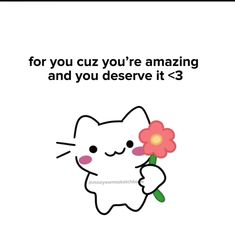 a cat holding a flower with the caption for you cuz you're amazing and you observe it