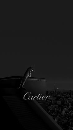 a black and white photo of a cat on top of a roof with the caption cartier
