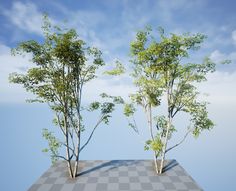 two trees on a checkered surface with blue sky in the background