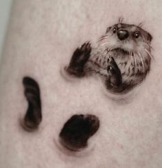 an animal's paw and foot prints on the stomach