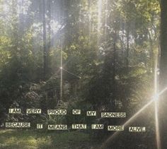 the sun shining through trees with words written on them