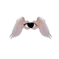 an eye with pink wings is shown in the sky, as if it were flying through the air