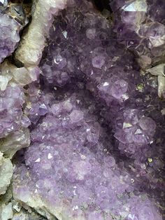 some very pretty purple crystals on the rocks